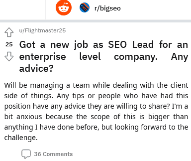 got a new job as seo lead for an enterprise level company