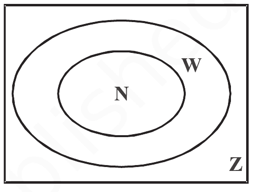 natural and whole numbers integers in a venn diagram
