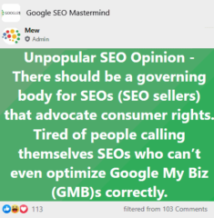 Whether Should There Exist A Government Constitution To Regulate The Commercial SEO Professionals’ Freedom?