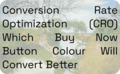 Conversion Rate Optimization (CRO) Which Buy Now Button Colour Will Convert Better