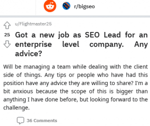 Got a New Job as SEO Lead for an Enterprise Level Company