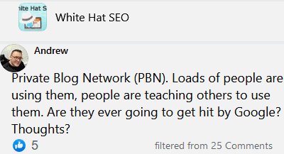 private blog network pbn are pbns ever going to get hit by google
