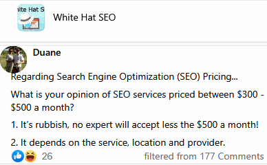 comments on an seo low price range on rate 300 500 a month